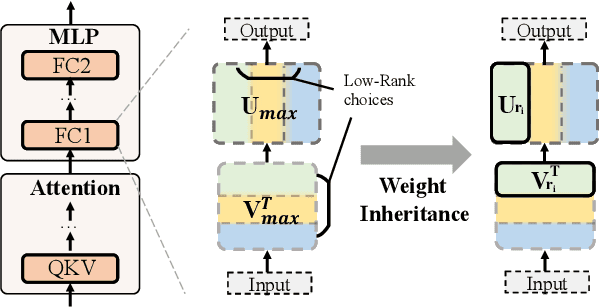 Figure 3 for FLORA: Fine-grained Low-Rank Architecture Search for Vision Transformer