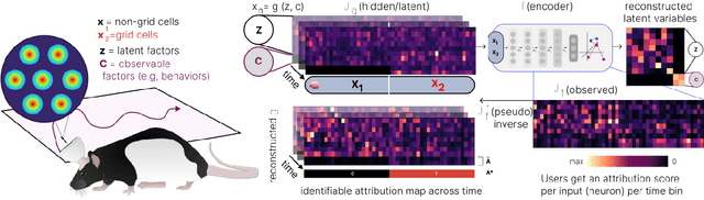 Figure 1 for Time-series attribution maps with regularized contrastive learning