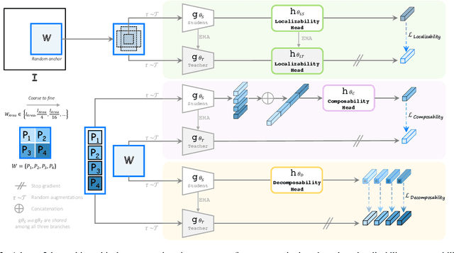 Figure 3 for Representing Part-Whole Hierarchies in Foundation Models by Learning Localizability, Composability, and Decomposability from Anatomy via Self-Supervision