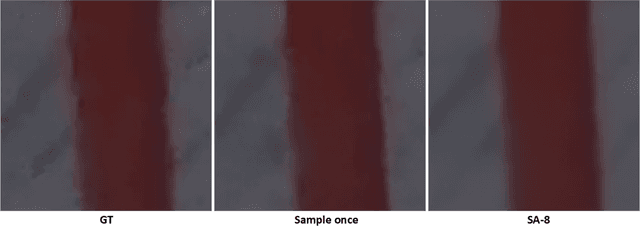 Figure 3 for DIVD: Deblurring with Improved Video Diffusion Model