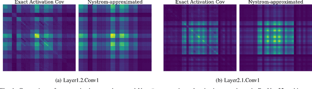 Figure 1 for NysAct: A Scalable Preconditioned Gradient Descent using Nystrom Approximation