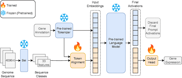 Figure 3 for Long-range gene expression prediction with token alignment of large language model