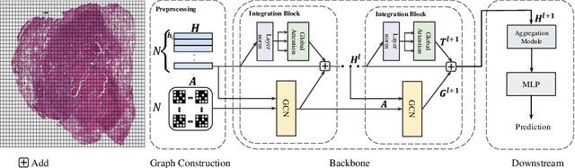 Figure 1 for Integrative Graph-Transformer Framework for Histopathology Whole Slide Image Representation and Classification