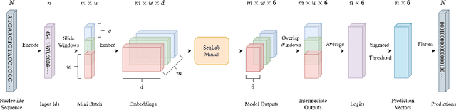 Figure 3 for Horizon-wise Learning Paradigm Promotes Gene Splicing Identification