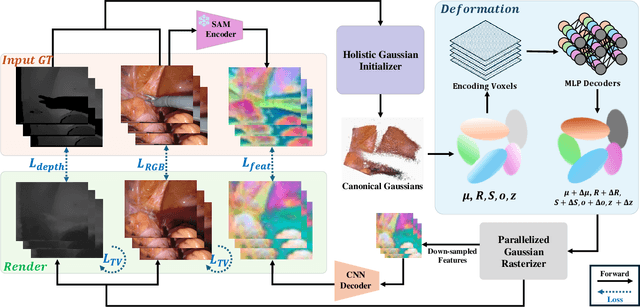 Figure 1 for Feature-EndoGaussian: Feature Distilled Gaussian Splatting in Surgical Deformable Scene Reconstruction