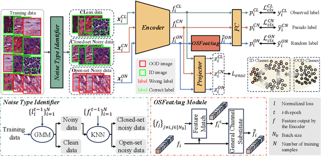 Figure 1 for Unleashing the Potential of Open-set Noisy Samples Against Label Noise for Medical Image Classification