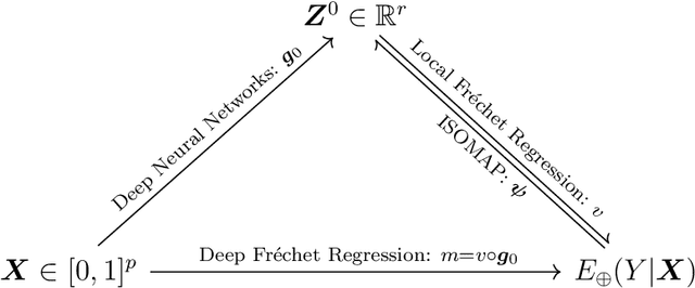 Figure 1 for Deep Fréchet Regression