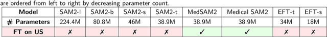 Figure 2 for Towards Better Ultrasound Video Segmentation Foundation Model: An Empirical study on SAM2 Finetuning from Data Perspective