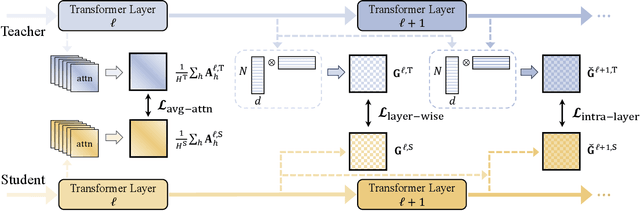 Figure 1 for STaR: Distilling Speech Temporal Relation for Lightweight Speech Self-Supervised Learning Models
