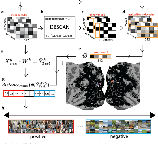 Figure 1 for What's the Opposite of a Face? Finding Shared Decodable Concepts and their Negations in the Brain