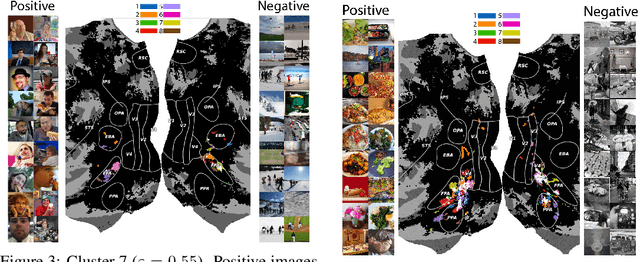 Figure 3 for What's the Opposite of a Face? Finding Shared Decodable Concepts and their Negations in the Brain