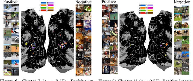 Figure 4 for What's the Opposite of a Face? Finding Shared Decodable Concepts and their Negations in the Brain