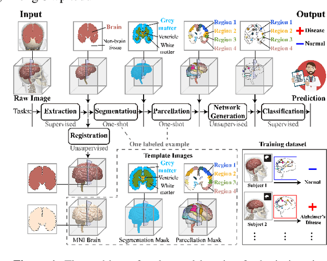 Figure 1 for End-to-End Deep Learning for Structural Brain Imaging: A Unified Framework