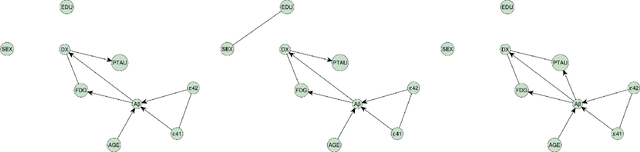 Figure 2 for Causal structure learning with momentum: Sampling distributions over Markov Equivalence Classes of DAGs