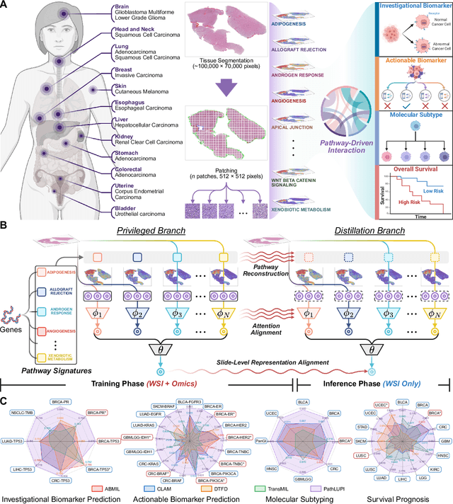 Figure 1 for Genome-Anchored Foundation Model Embeddings Improve Molecular Prediction from Histology Images
