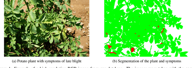 Figure 1 for Small data deep learning methodology for in-field disease detection