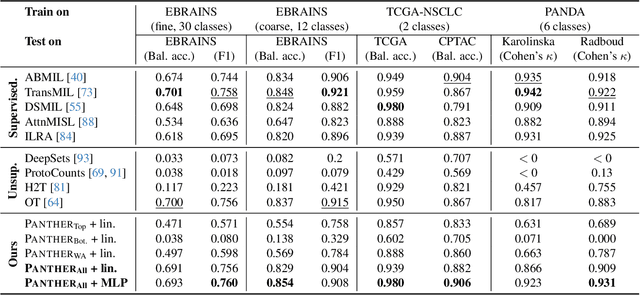 Figure 2 for Morphological Prototyping for Unsupervised Slide Representation Learning in Computational Pathology