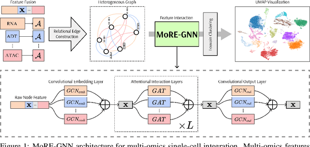 Figure 1 for MoRE-GNN: Multi-omics Data Integration with a Heterogeneous Graph Autoencoder