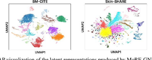 Figure 4 for MoRE-GNN: Multi-omics Data Integration with a Heterogeneous Graph Autoencoder
