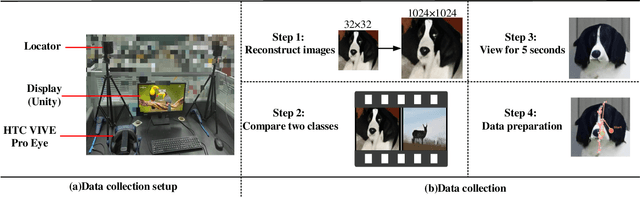 Figure 3 for Gaze-Guided Learning: Avoiding Shortcut Bias in Visual Classification