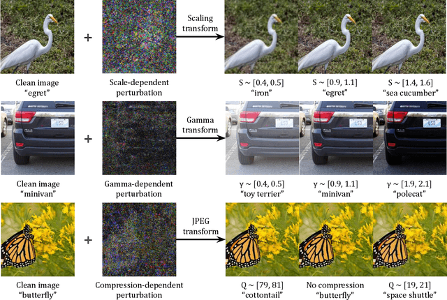 Figure 3 for Transformation-Dependent Adversarial Attacks