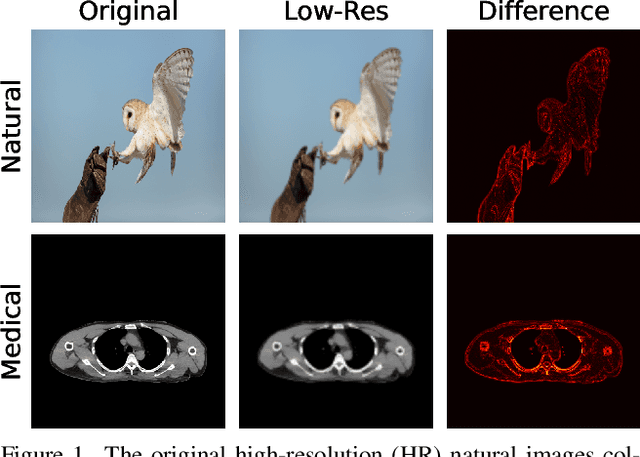 Figure 1 for QDM: Quadtree-Based Region-Adaptive Sparse Diffusion Models for Efficient Image Super-Resolution