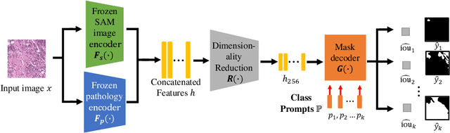Figure 1 for SAM-Path: A Segment Anything Model for Semantic Segmentation in Digital Pathology