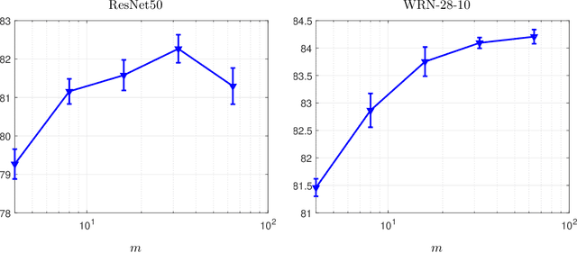 Figure 2 for mSAM: Micro-Batch-Averaged Sharpness-Aware Minimization