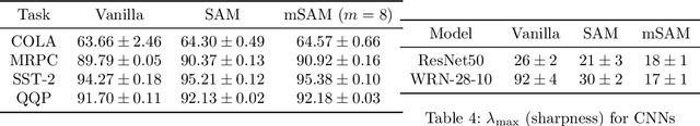 Figure 4 for mSAM: Micro-Batch-Averaged Sharpness-Aware Minimization