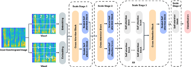 Figure 1 for MMViT: Multiscale Multiview Vision Transformers