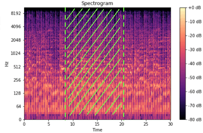 Figure 4 for MMViT: Multiscale Multiview Vision Transformers