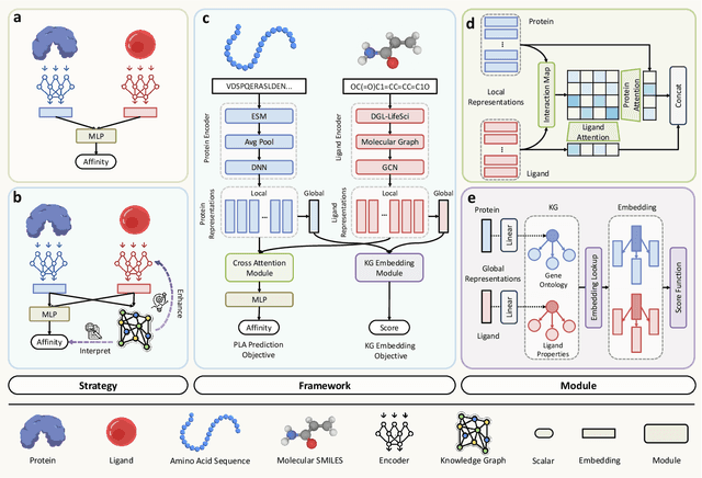 Figure 1 for KEPLA: A Knowledge-Enhanced Deep Learning Framework for Accurate Protein-Ligand Binding Affinity Prediction