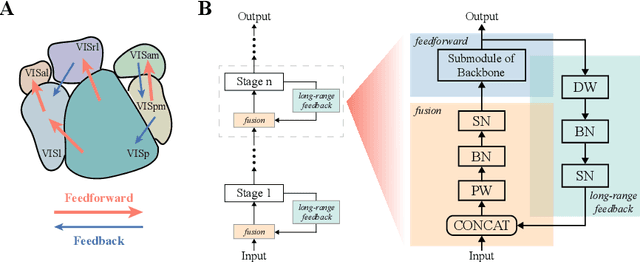 Figure 3 for Deep recurrent spiking neural networks capture both static and dynamic representations of the visual cortex under movie stimuli
