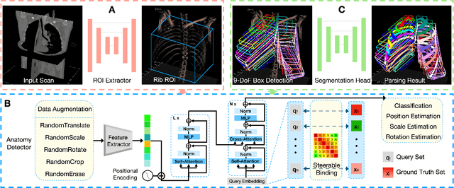 Figure 2 for Med-Query: Steerable Parsing of 9-DoF Medical Anatomies with Query Embedding