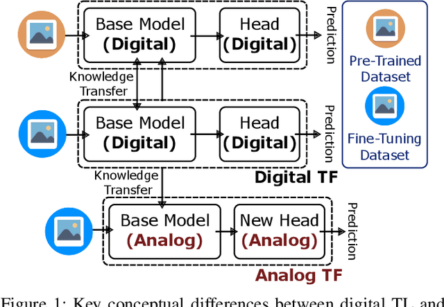 Figure 1 for Assessing the Performance of Analog Training for Transfer Learning