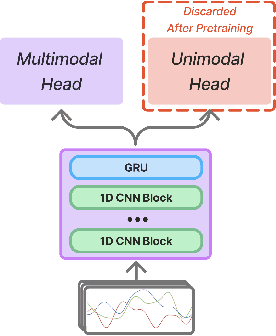 Figure 2 for PRIMUS: Pretraining IMU Encoders with Multimodal Self-Supervision