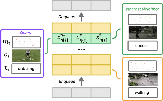Figure 3 for PRIMUS: Pretraining IMU Encoders with Multimodal Self-Supervision