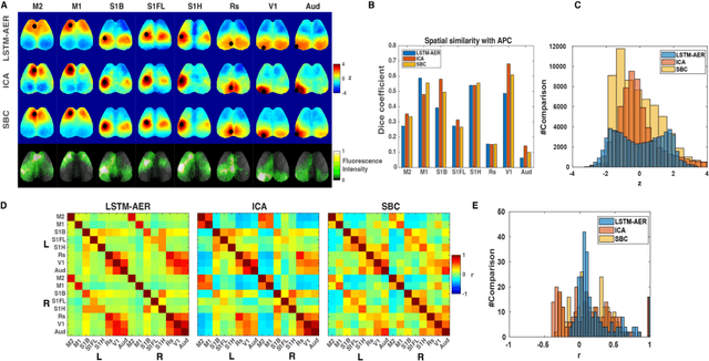 Figure 2 for Identifying Functional Brain Networks of Spatiotemporal Wide-Field Calcium Imaging Data via a Long Short-Term Memory Autoencoder
