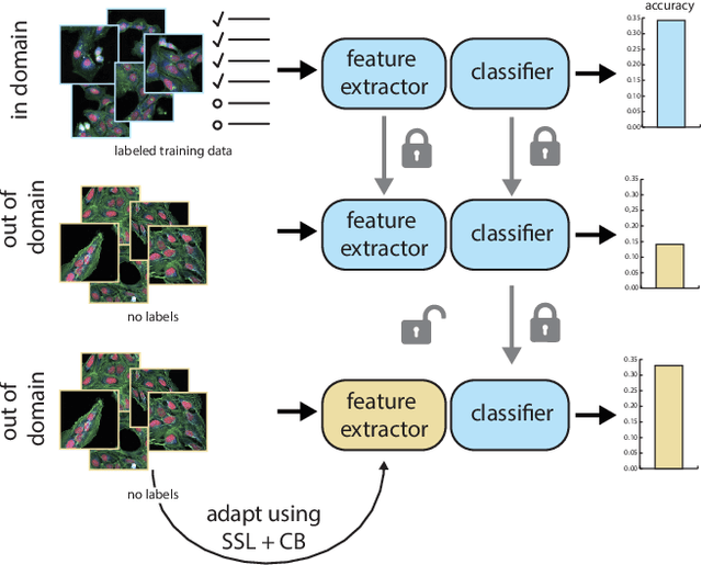 Figure 1 for Bridging Generalization Gaps in High Content Imaging Through Online Self-Supervised Domain Adaptation