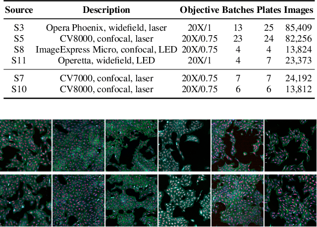 Figure 4 for Bridging Generalization Gaps in High Content Imaging Through Online Self-Supervised Domain Adaptation