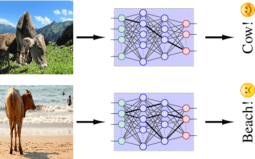 Figure 1 for Be Persistent: Towards a Unified Solution for Mitigating Shortcuts in Deep Learning