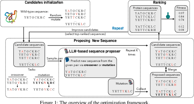 Figure 1 for Large Language Model is Secretly a Protein Sequence Optimizer