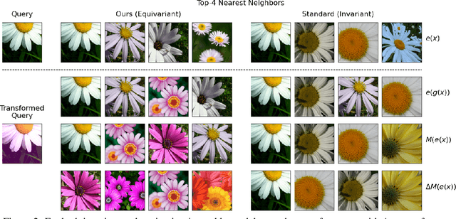 Figure 3 for Steerable Equivariant Representation Learning