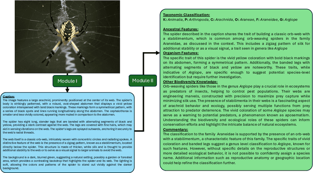 Figure 1 for Taxonomic Reasoning for Rare Arthropods: Combining Dense Image Captioning and RAG for Interpretable Classification