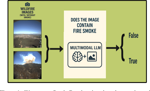 Figure 1 for SmokeBench: Evaluating Multimodal Large Language Models for Wildfire Smoke Detection