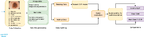 Figure 3 for MedGrad E-CLIP: Enhancing Trust and Transparency in AI-Driven Skin Lesion Diagnosis