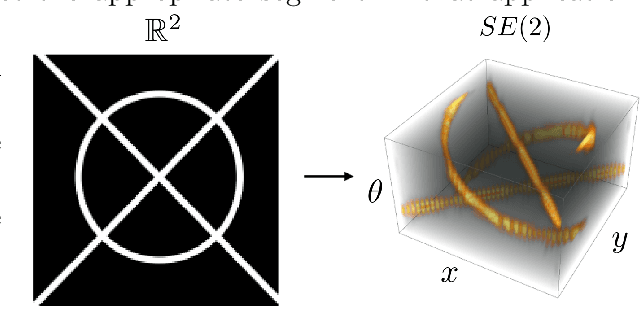 Figure 1 for Optimal Transport on the Lie Group of Roto-translations