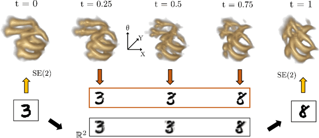 Figure 2 for Optimal Transport on the Lie Group of Roto-translations