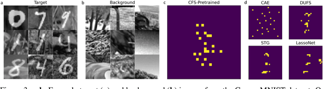 Figure 3 for Feature Selection in the Contrastive Analysis Setting