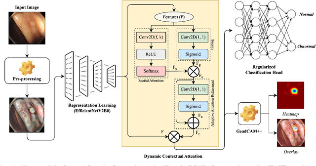 Figure 1 for Dynamic Contextual Attention Network: Transforming Spatial Representations into Adaptive Insights for Endoscopic Polyp Diagnosis